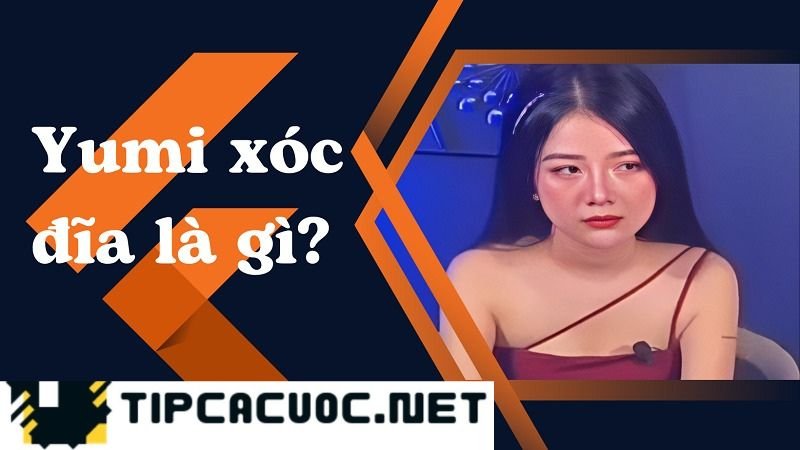 Tìm hiểu Yumi xóc đĩa là gì?