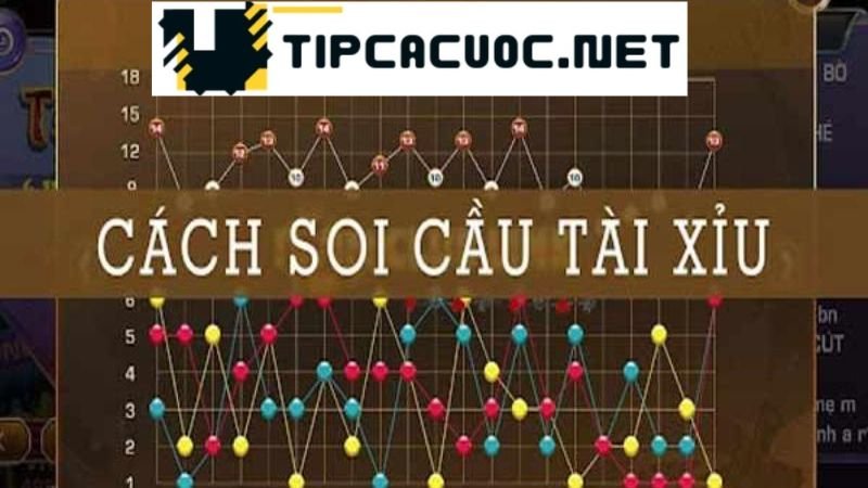 Phân biệt thuật toán game tài xỉu là như thế nào nhận biết ra sao?