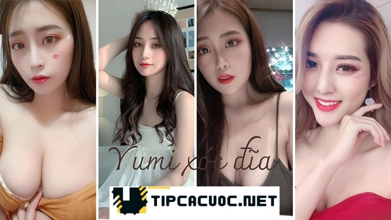 Thông tin tổng quan về Yumi xóc đĩa