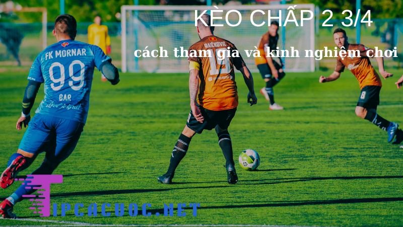 Hướng dẫn chi tiết cách đọc kèo chấp 2 3/4