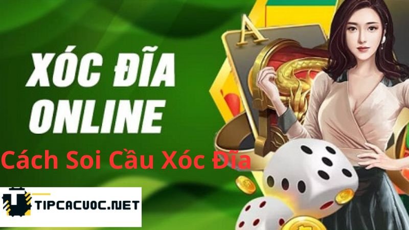 Có Mấy Cách Soi Cầu Xóc Đĩa