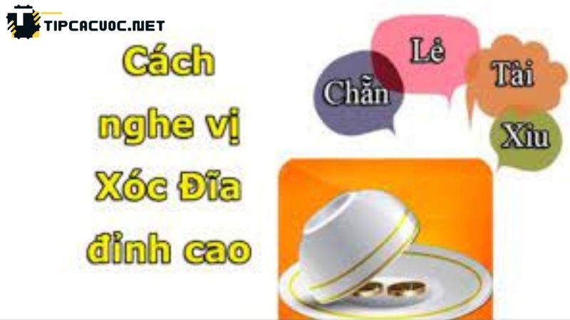 Phương Pháp Cách Nghe Tiếng Xóc Đĩa Hiệu Quả: