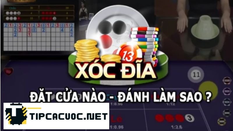 Quan Sát Bảng Cầu Xóc Đĩa