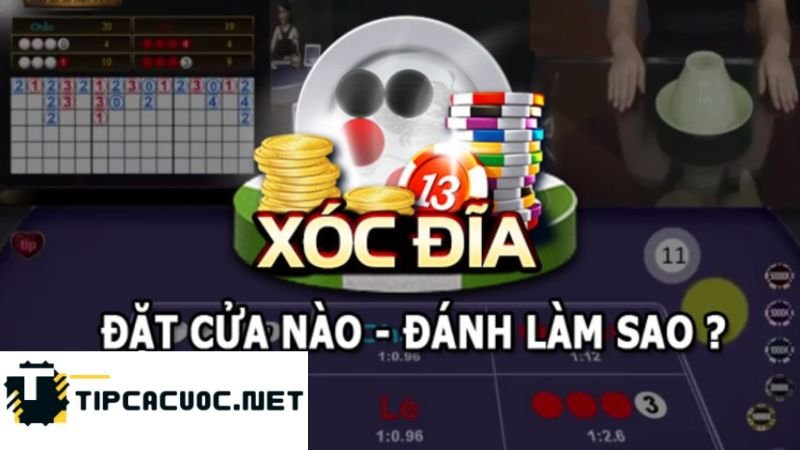 Kiên nhẫn và kiểm soát: Xóc Đĩa Sec Club