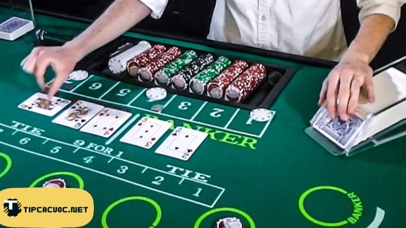 Nhóm kéo baccarat có người đứng sau chỉ đạo không?