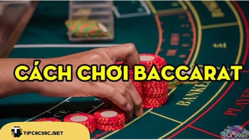 Cách Chơi Baccarat