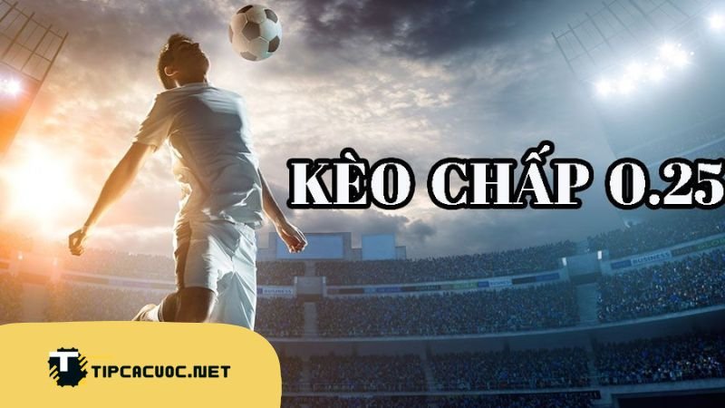 Cách đánh giá kèo Tài Xỉu 0.25: