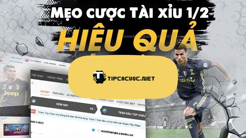 Kinh nghiệm soi kèo tài xỉu 1/2 chuẩn từ các tay chơi