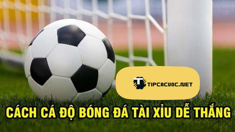 Chiến Thuật Đặt Cược Tài Xỉu 1.75 Mới Nhất