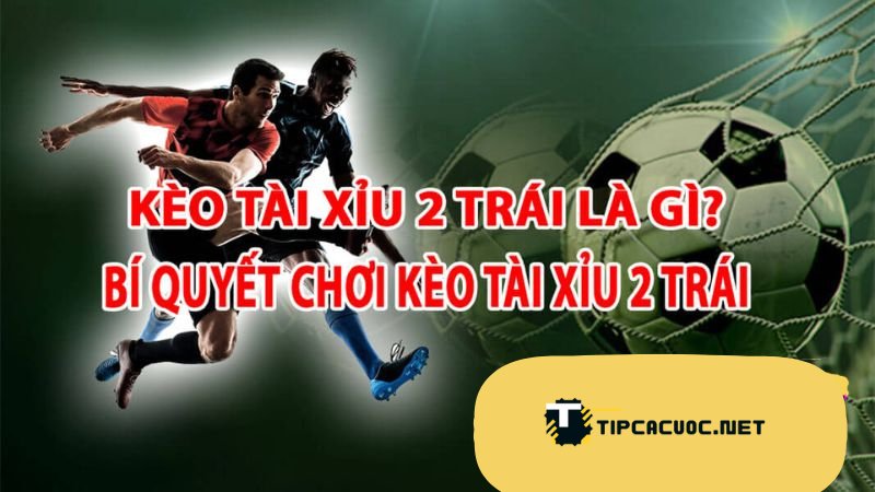 Tổng Quan về Kèo Tài Xỉu 2 Trái