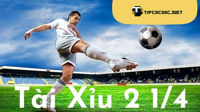 Chiến Thuật Đặt Cược Tài Xỉu 2.25 Mới Nhất