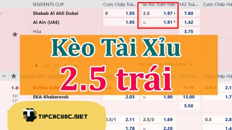 Thách Thức và Chiến Thuật Mới Nhất