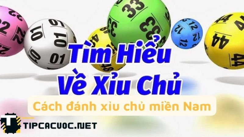 Hướng dẫn cách tính, dự đoán xỉu chủ miền Bắc, miền Nam hiệu quả