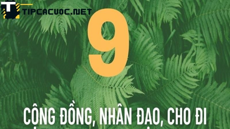 Thần số học số 9 tình duyên