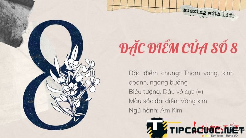 Công việc phù hợp dành cho người có số chủ đạo là số 8