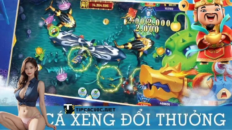 Tổng quan về trò chơi cá cược xèng