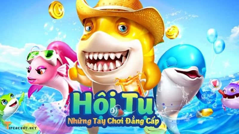 Giới thiệu về Ban ca h5