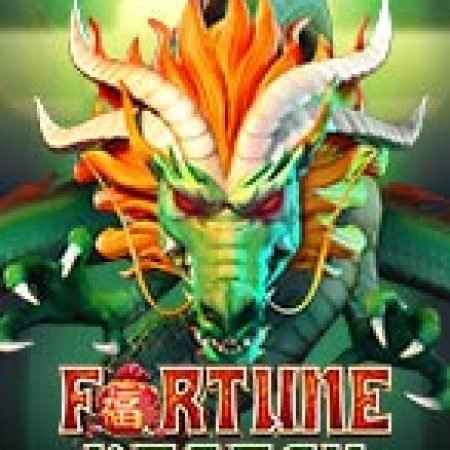 Fortune Dragon Slot