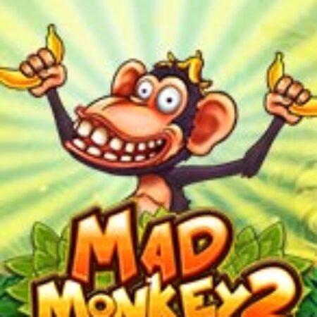 Mad Monkey 2 Slot