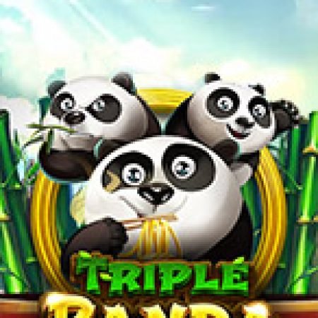 Triple Panda Slot