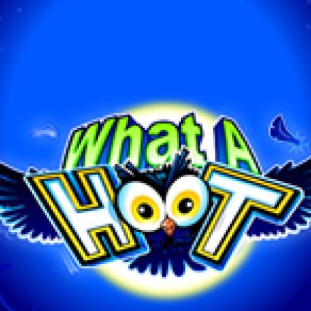 Đêm Cú Vọ – What A Hoot Slot