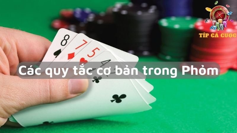 Các quy tắc cơ bản trong Phỏm