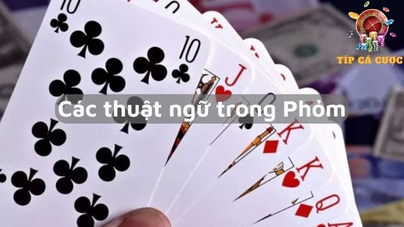 Các thuật ngữ trong Phỏm