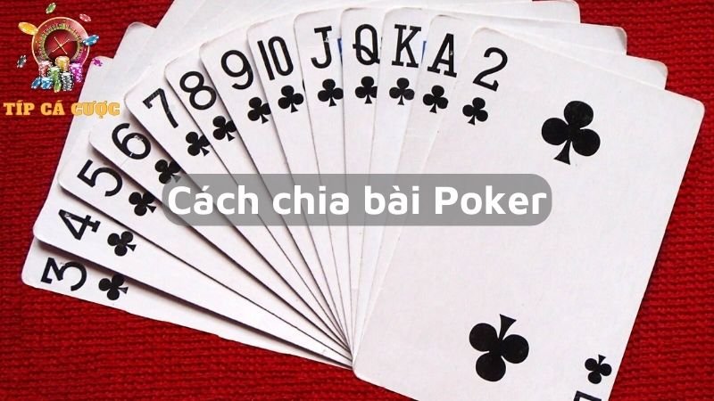 Mẹo khi chia bài Poker