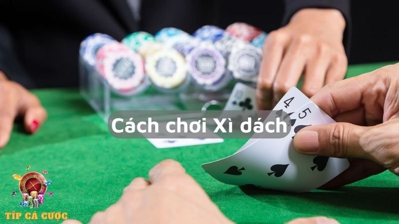 Khái niệm bài Xì dách