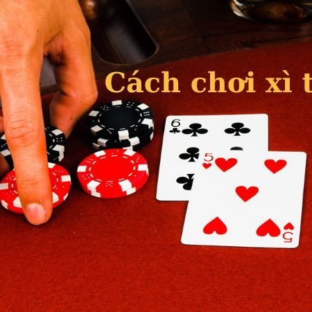 Hướng dẫn chi tiết và mẹo cần biết về cách chơi Xì tố