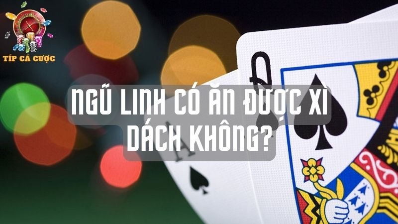 Khái niệm Ngũ linh